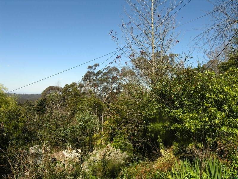 27 B Henderson Road, Wentworth Falls NSW 2782