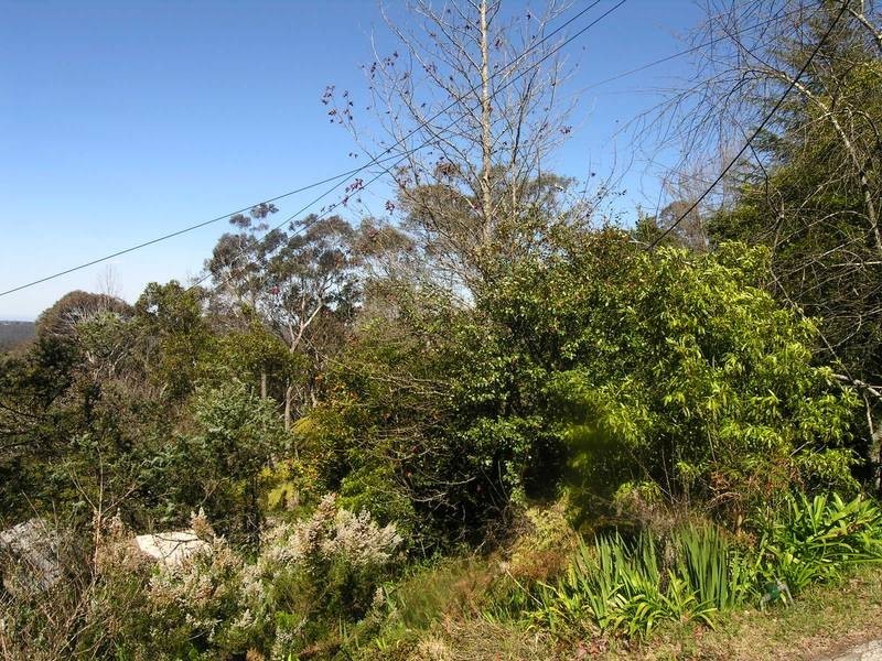 27 B Henderson Road, Wentworth Falls NSW 2782