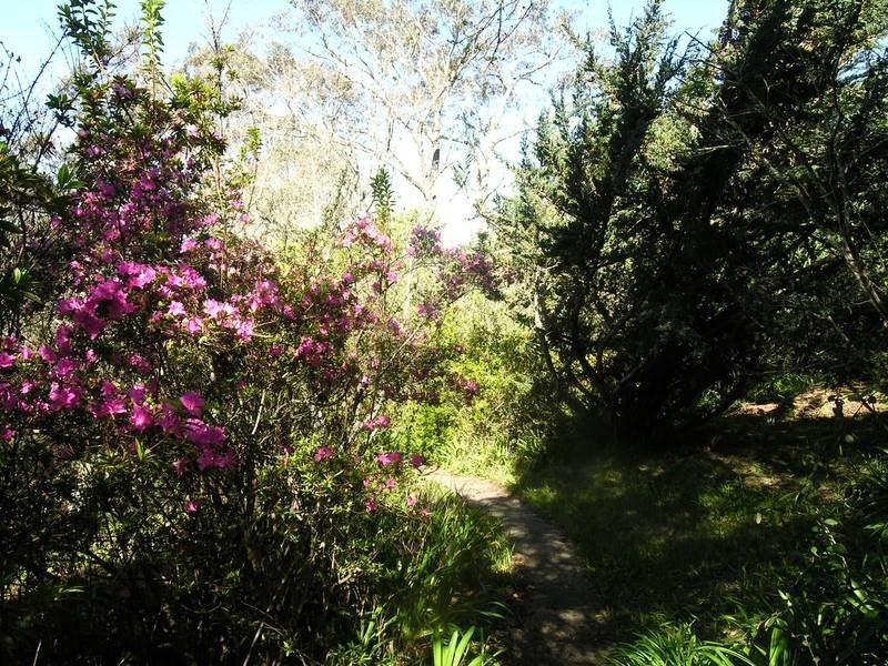 27 B Henderson Road, Wentworth Falls NSW 2782