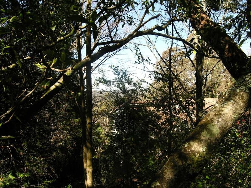 27 B Henderson Road, Wentworth Falls NSW 2782