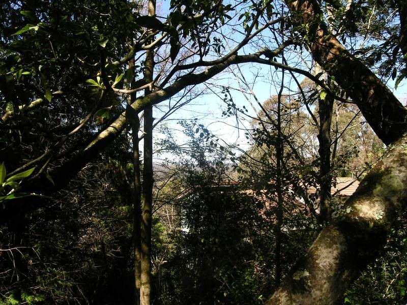 27 B Henderson Road, Wentworth Falls NSW 2782