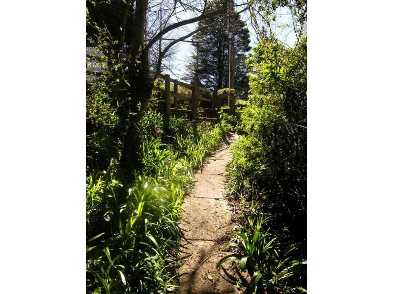 27 B Henderson Road, Wentworth Falls NSW 2782