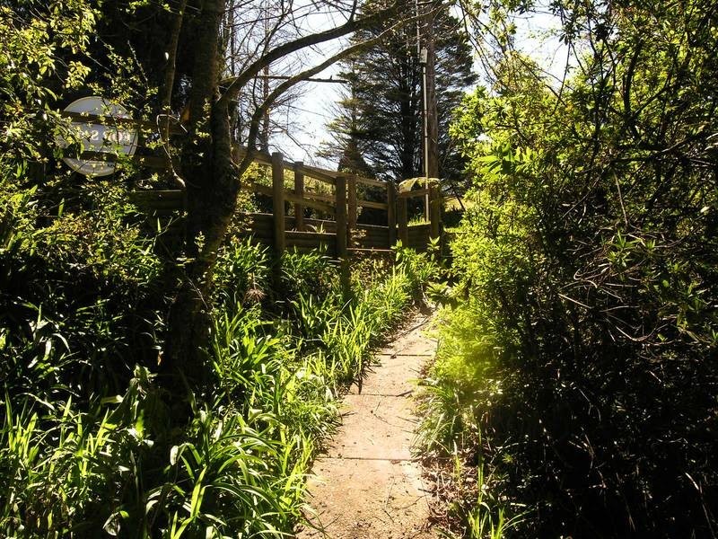 27 B Henderson Road, Wentworth Falls NSW 2782