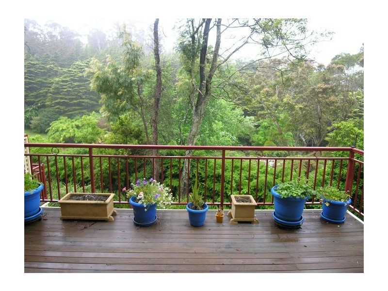 2/6A Vale Street, Katoomba NSW 2780