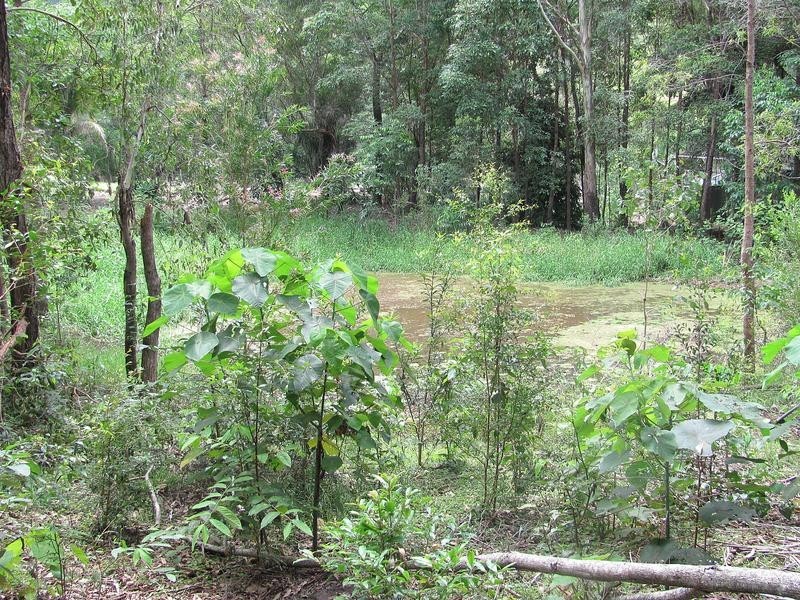 10 Celestial Court, Valdora QLD 4561