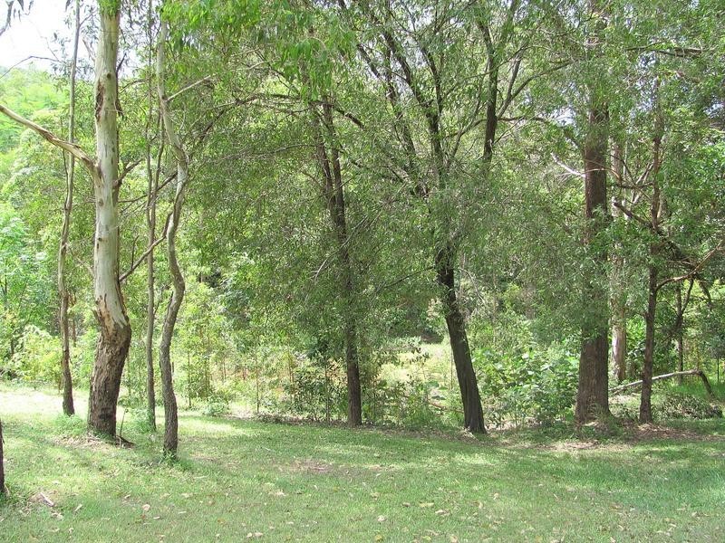 10 Celestial Court, Valdora QLD 4561