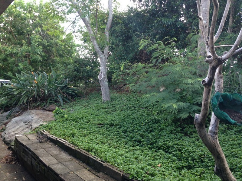 35 Avocado Crescent, Bli Bli QLD 4560