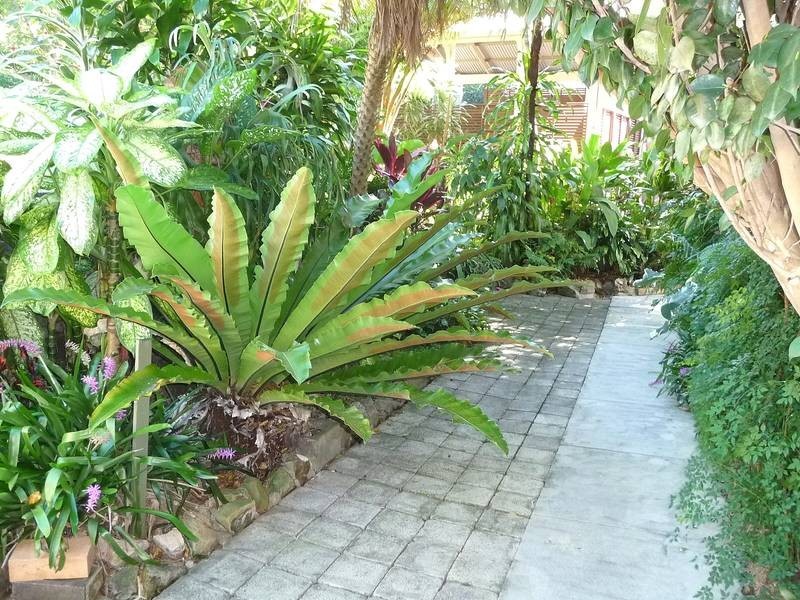 13 Crescent Drive Nambour Heights, Nambour QLD 4560