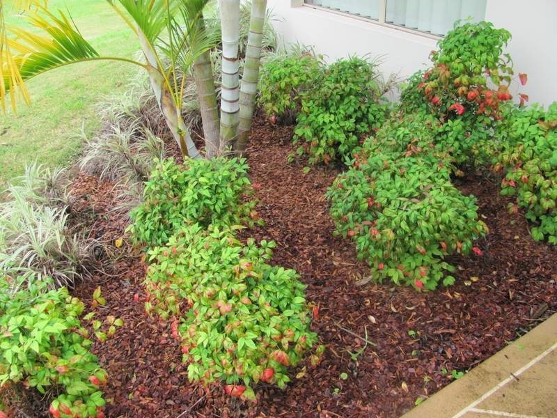 24 Imagination Drive, Nambour QLD 4560