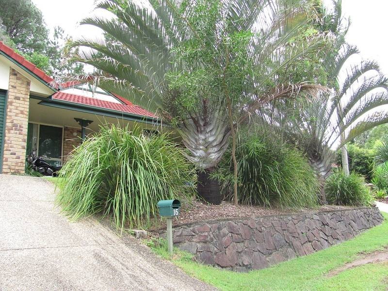 15 Savannah Court, Bli Bli QLD 4560