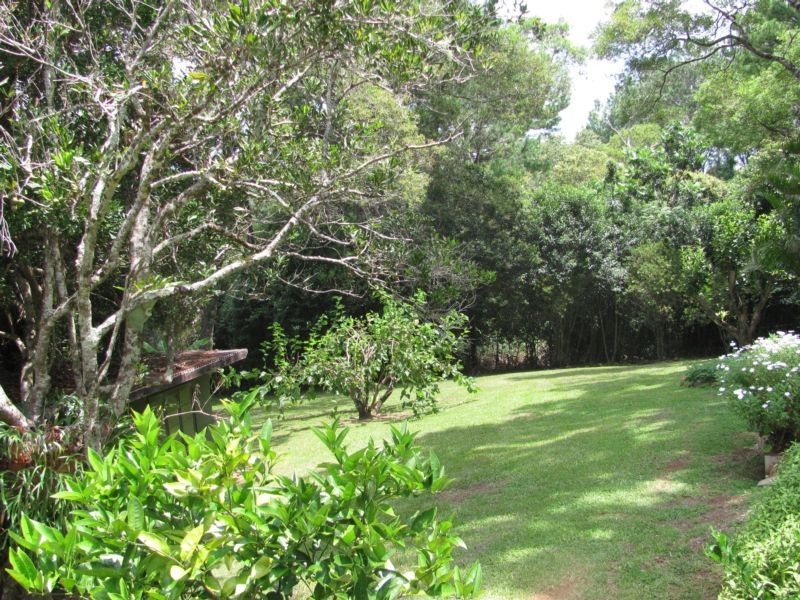 36 Balmoral Road, Montville QLD 4560