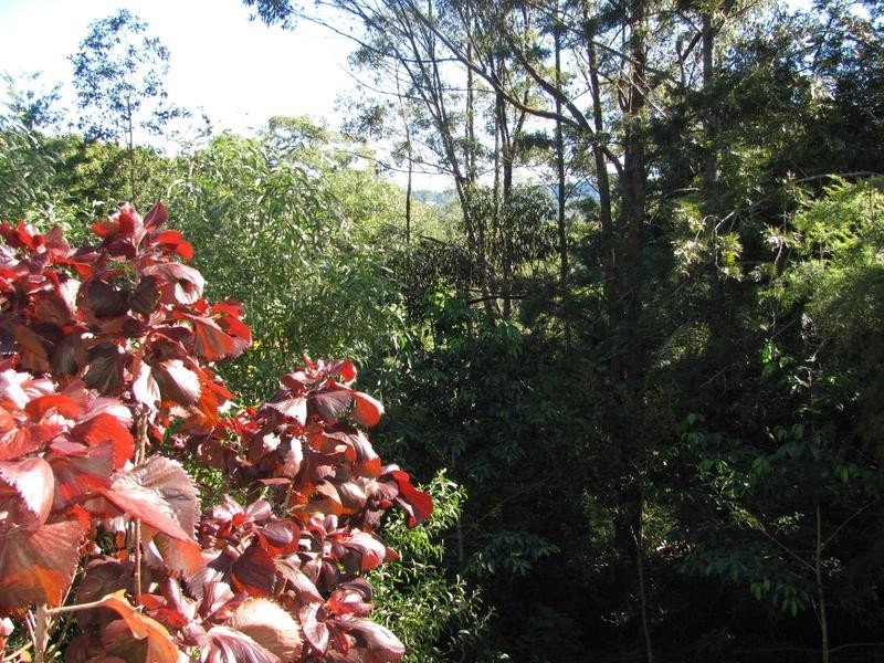 54 Lamington Terrace, Nambour QLD 4560