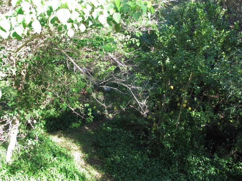 54 Lamington Terrace, Nambour QLD 4560