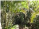11 Kings Place, Nambour QLD 4560