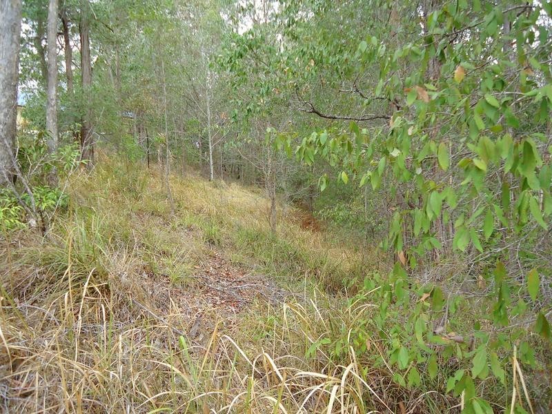 188 Mons School Road, Buderim QLD 4556