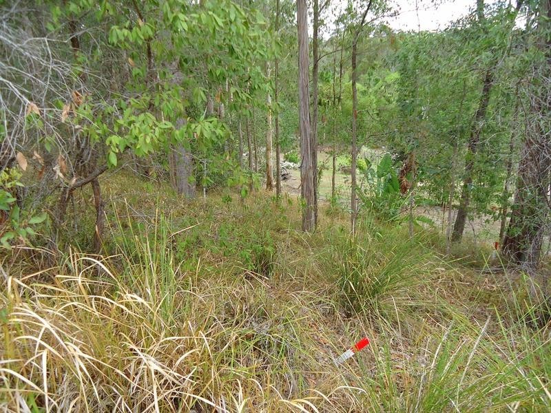 188 Mons School Road, Buderim QLD 4556