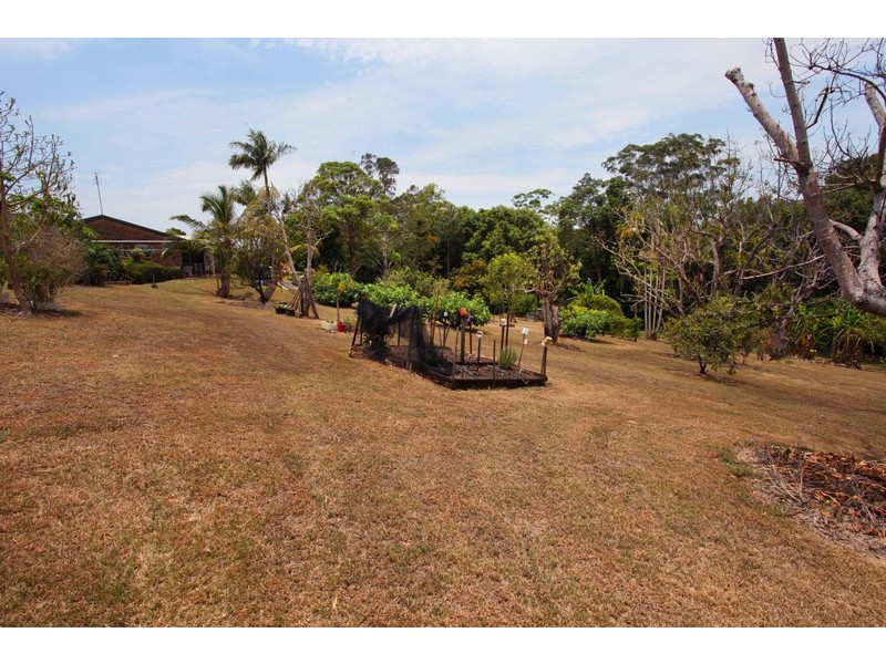 4 Bareena Court, Palmwoods QLD 4555