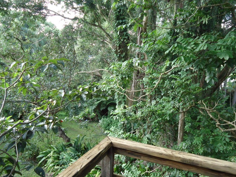 24 Blackall Terrace, Nambour QLD 4560