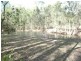 56 Smith Road, Park Ridge South QLD 4125