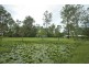 1023 Teviot Road, South Maclean QLD 4280