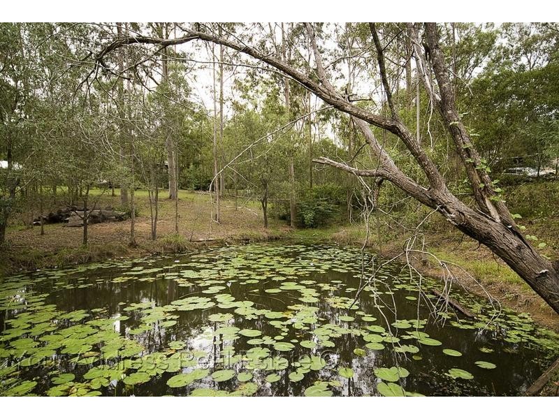 33 Michelle Drive, Cedar Grove QLD 4285