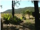 680 Dungog Road, Paterson NSW 2421