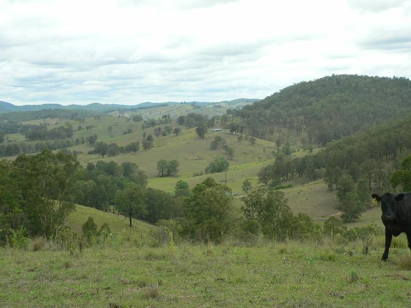 Lot 6 Nevilles Road, Stroud NSW 2425