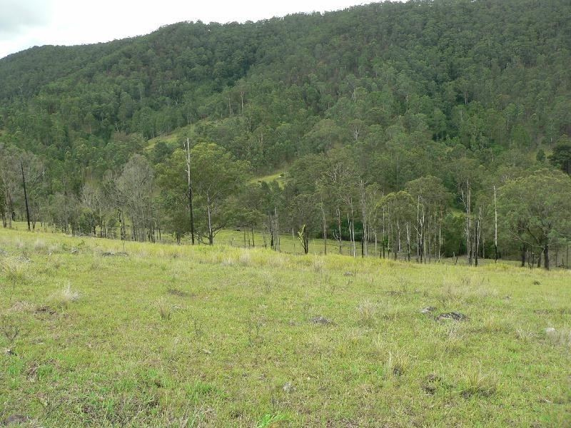 Lot 6 Nevilles Road, Stroud NSW 2425