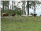 Lot 6 Nevilles Road, Stroud NSW 2425