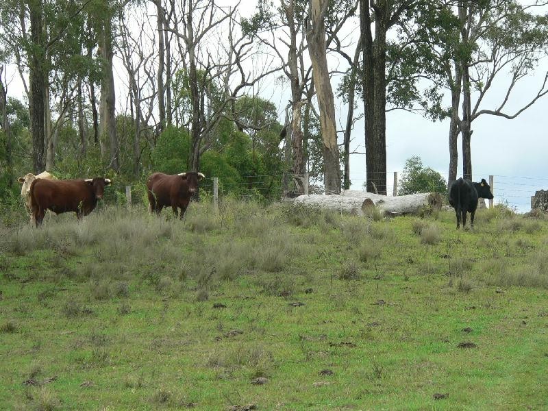 Lot 6 Nevilles Road, Stroud NSW 2425