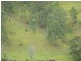 Lot 6 Nevilles Road, Stroud NSW 2425