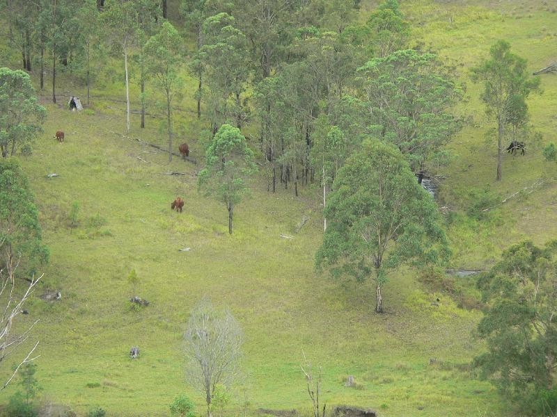 Lot 6 Nevilles Road, Stroud NSW 2425