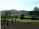 Lot 3 Julia Road, Booral NSW 2425