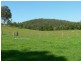 Lot 3 Julia Road, Booral NSW 2425