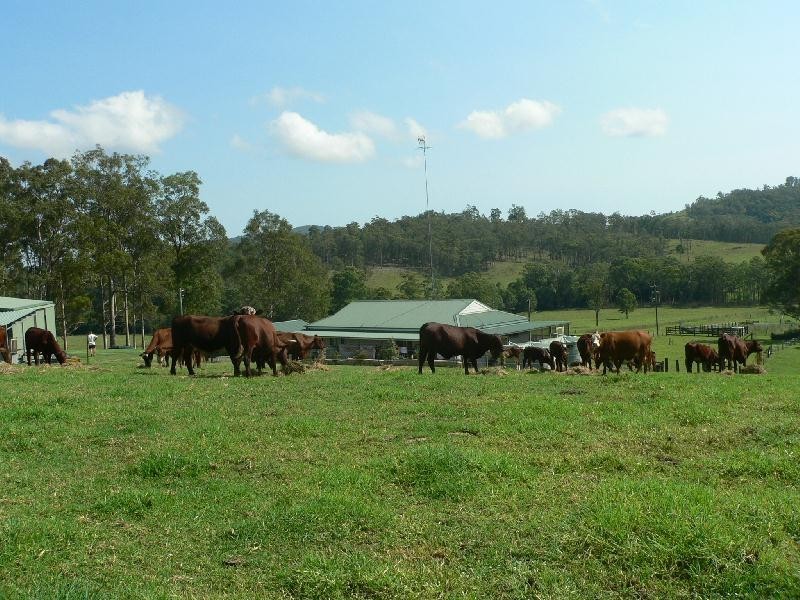 Lot 3 Julia Road, Booral NSW 2425