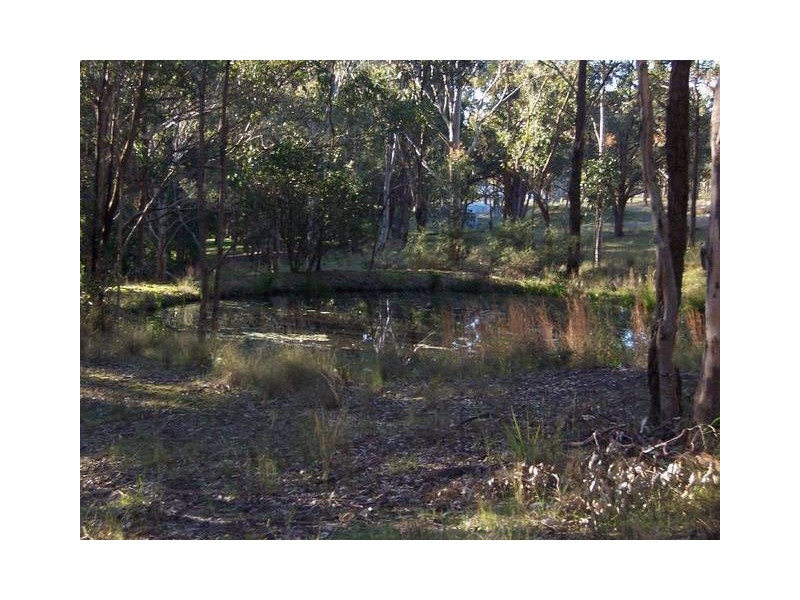 254 WINSTON DRIVE, Eagleton NSW 2324