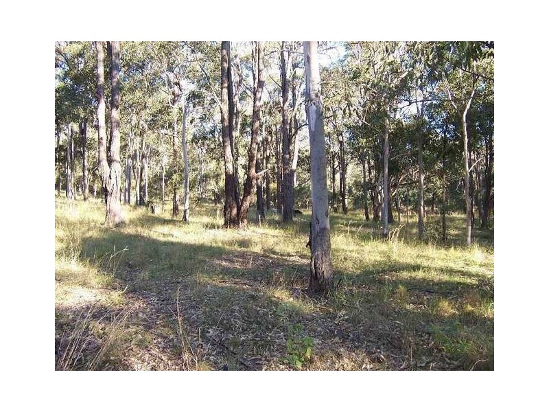 254 WINSTON DRIVE, Eagleton NSW 2324