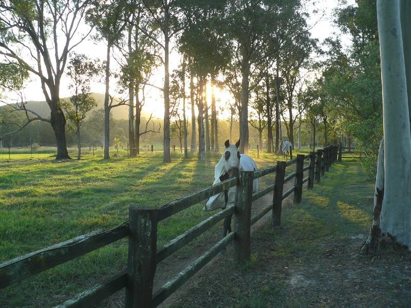 836 Limeburners Creek Road, Clarence Town NSW 2321