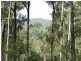 Lot Lot 42, 92 Brentwood Drive, Clarence Town NSW 2321