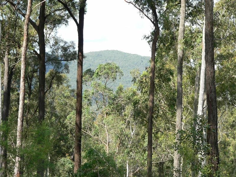 Lot Lot 42, 92 Brentwood Drive, Clarence Town NSW 2321
