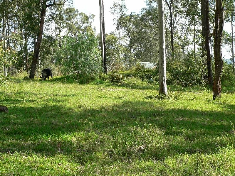 Lot Lot 42, 92 Brentwood Drive, Clarence Town NSW 2321