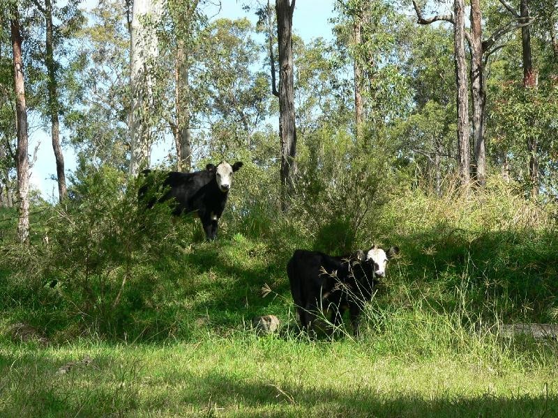 Lot Lot 42, 92 Brentwood Drive, Clarence Town NSW 2321