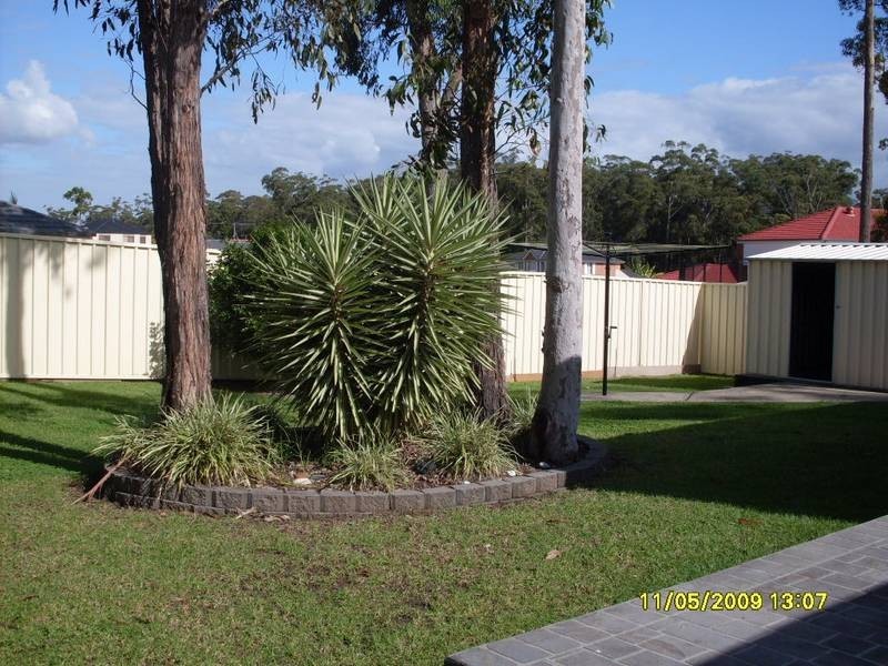 145 KINDLEBARK DRIVE, Medowie NSW 2318