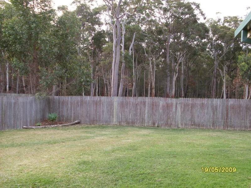 124 Coachwood Drive, Medowie NSW 2318