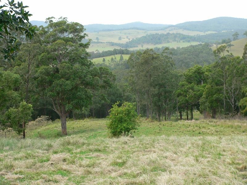 Lot 2 Brewers Road, Dungog NSW 2420