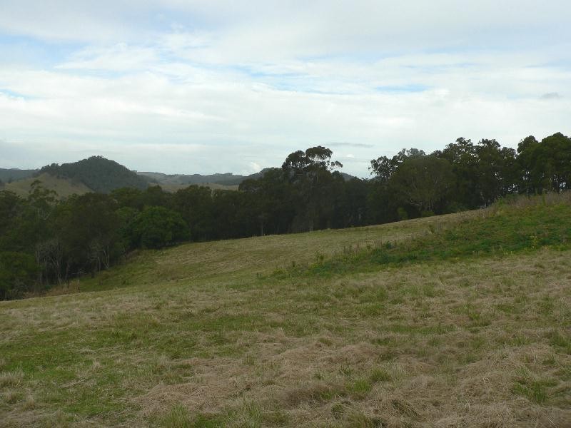 Lot 2 Brewers Road, Dungog NSW 2420