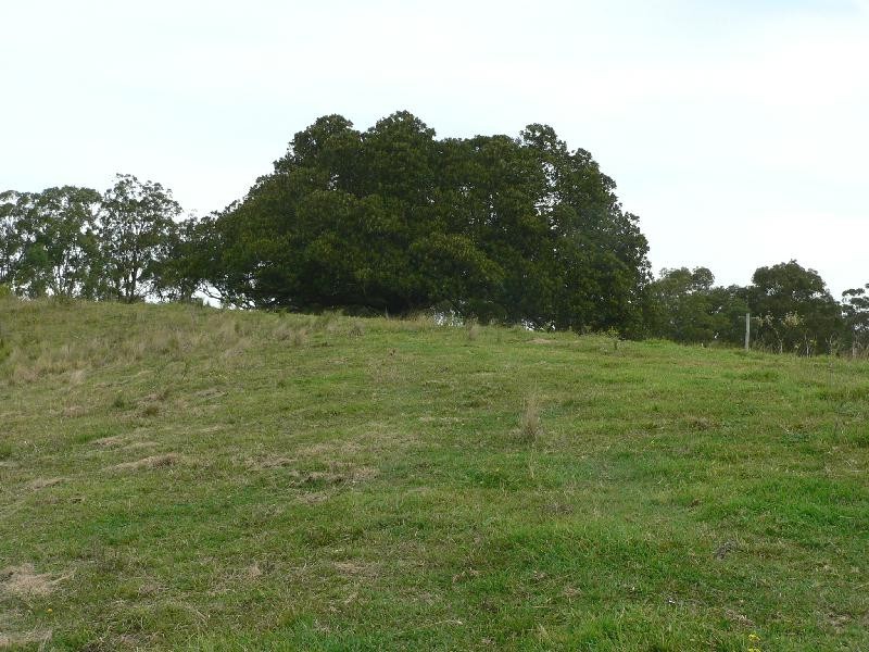 Lot 2 Brewers Road, Dungog NSW 2420