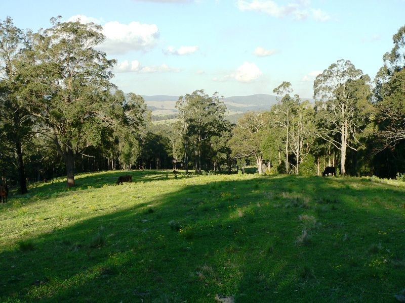 Lot 2 Brewers Road, Dungog NSW 2420