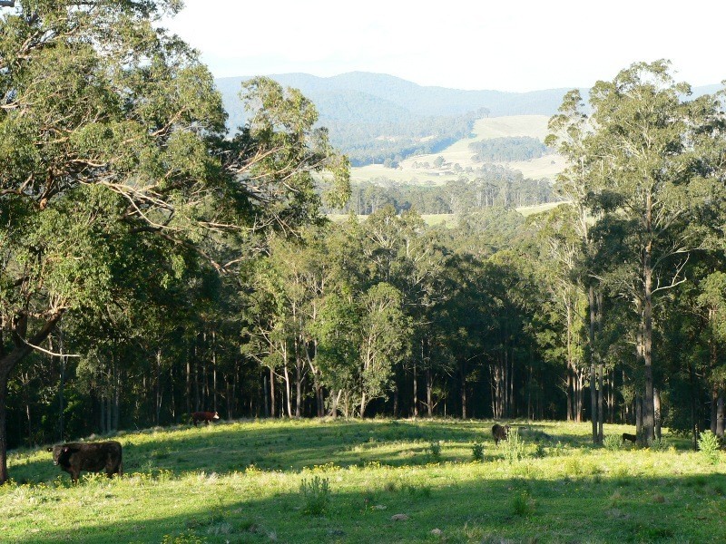 Lot 2 Brewers Road, Dungog NSW 2420