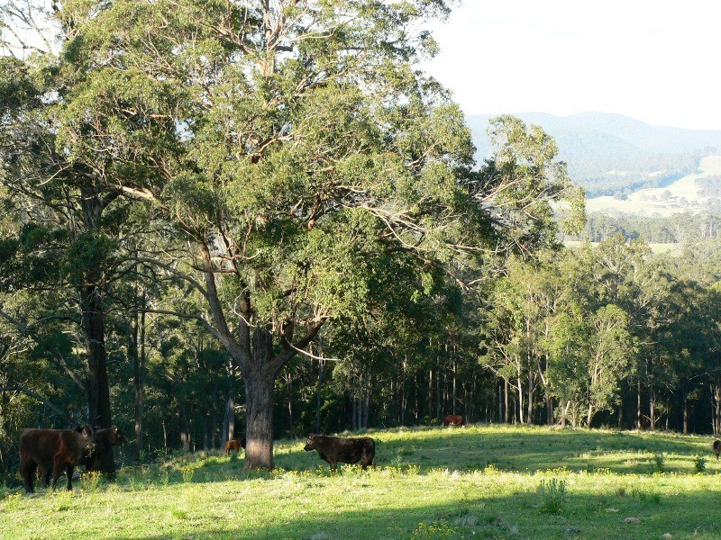 Lot 2 Brewers Road, Dungog NSW 2420